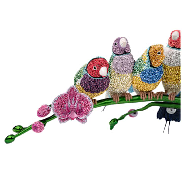 Crystal Myriad Gouldian Finches - Image 7