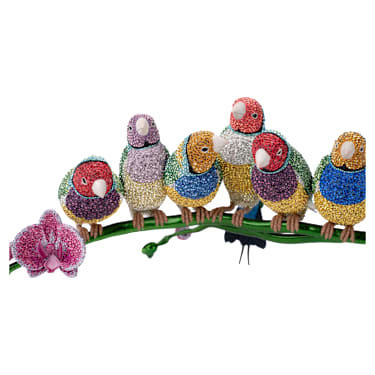 Crystal Myriad Gouldian Finches - Image 8