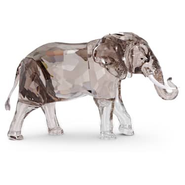 Elegance of Africa SCS Jubilee Edition 2022 Elephant Zena
