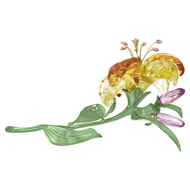 Florere Lily - Image 3