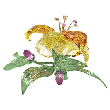 Florere Lily - Image 4