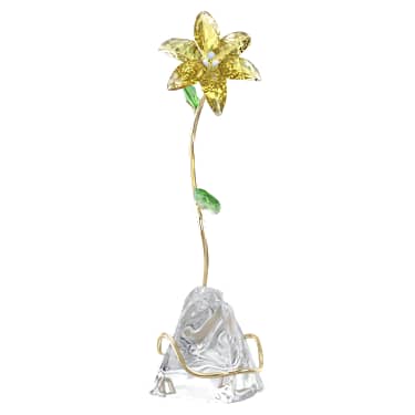 Florere Lily - Image 4