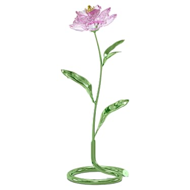 Florere Peony - Image 3