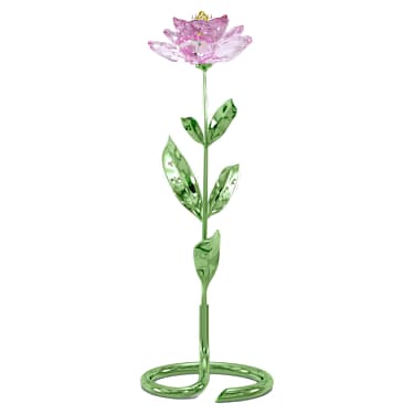 Florere Peony - Image 4