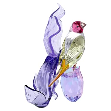 Idyllia Gouldian Finch and Orchid - Image 4