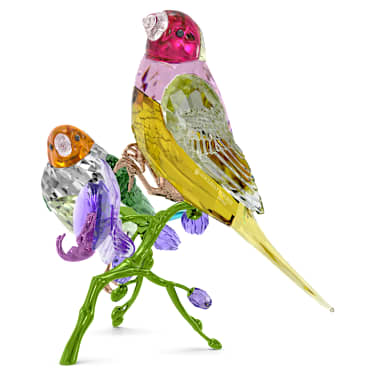 Idyllia SCS Annual Edition 2024 Gouldian Finches - Image 3