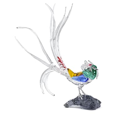 Idyllia SCS Annual Edition 2026 Lady Amherst’s Pheasant