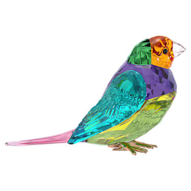 Idyllia SCS Gouldian Finch - Image 3
